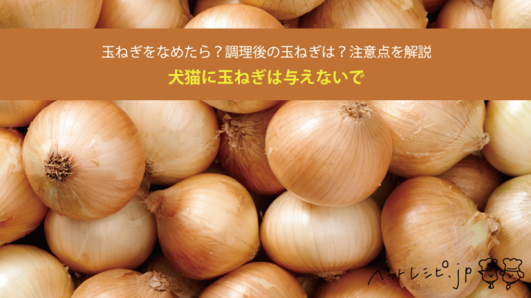 犬猫に玉ねぎは与えないで！玉ねぎをなめたら？調理後の玉ねぎは？注意点を解説