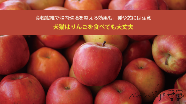 犬猫はりんごを食べても大丈夫！食物繊維で腸内環境を整える効果も。種や芯には注意
