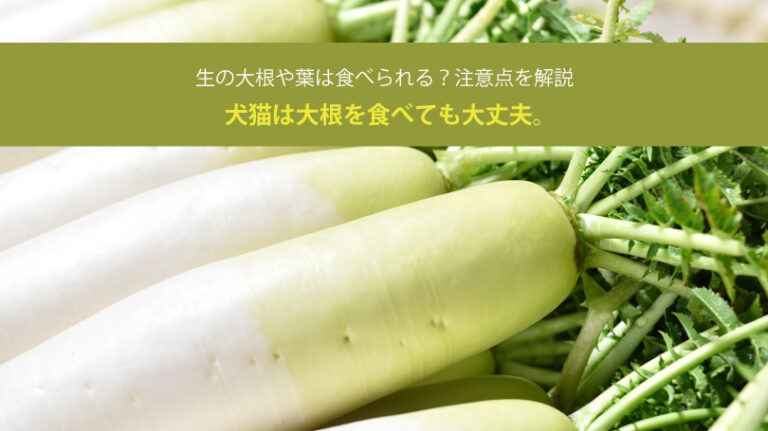 犬猫は大根を食べても大丈夫。生の大根や葉は食べられる？注意点を解説