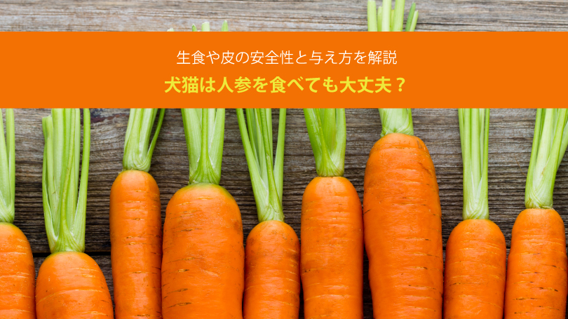犬猫は人参を食べても大丈夫？生食や皮の安全性と与え方を解説