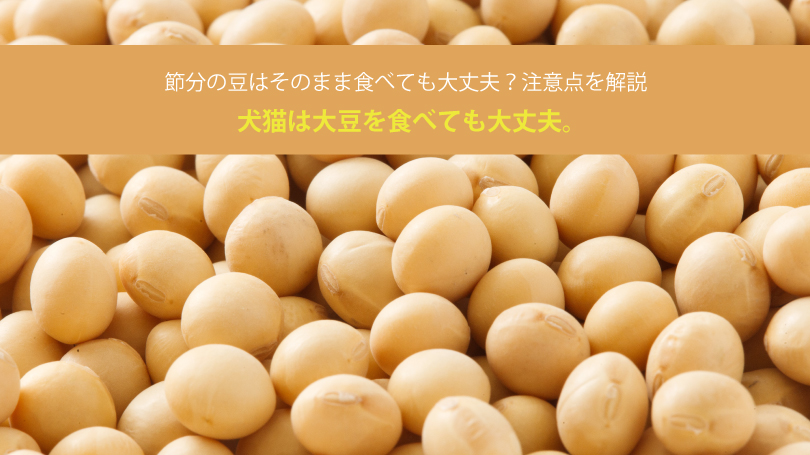 犬猫は大豆を食べても大丈夫。節分の豆はそのまま食べても大丈夫？注意点を解説
