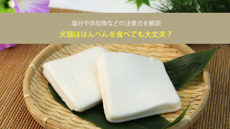 犬猫ははんぺんを食べても大丈夫？塩分や添加物などの注意点を解説
