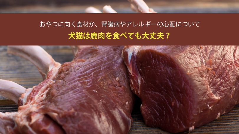 犬猫は鹿肉を食べても大丈夫？おやつに向く食材か、腎臓病やアレルギーの心配について