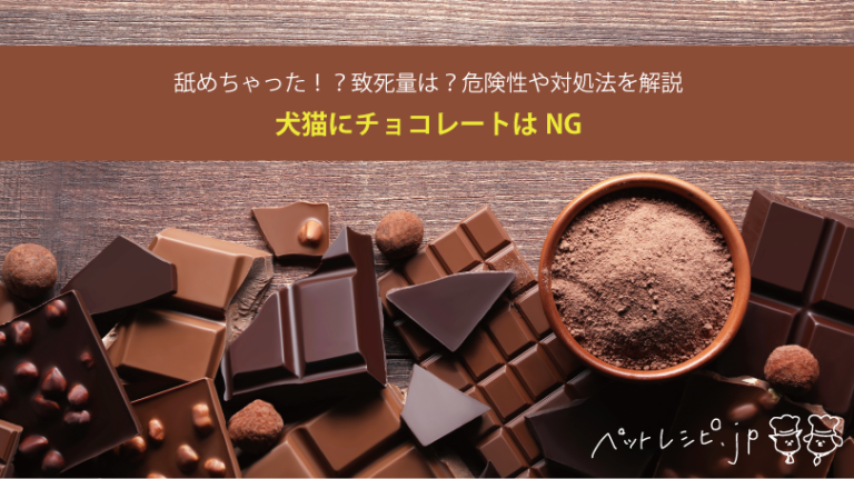 犬猫にチョコレートはNG！舐めちゃった！？致死量は？危険性や対処法を解説