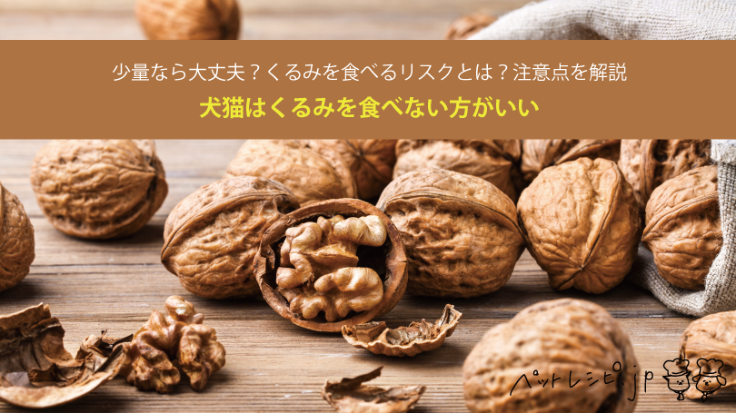 犬猫はくるみを食べない方がいい！少量なら大丈夫？くるみを食べるリスクとは？注意点を解説