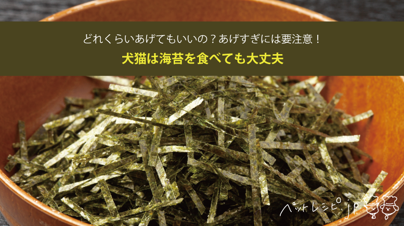 犬猫は海苔を食べても大丈夫！どれくらいあげてもいいの？あげすぎには要注意！