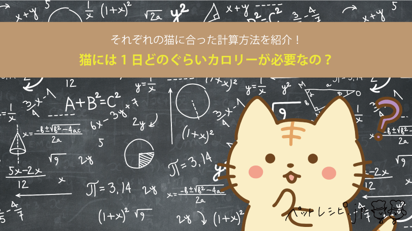 猫には1日どのぐらいカロリーが必要なの？それぞれの猫に合った計算方法を紹介！