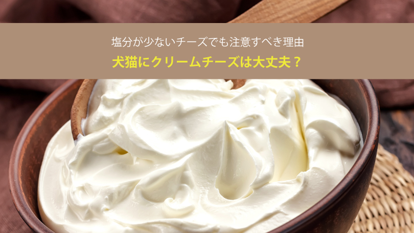 犬猫にクリームチーズは大丈夫？塩分が少ないチーズでも注意すべき理由