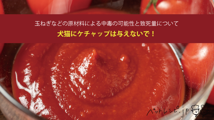 犬猫にケチャップは与えないで！玉ねぎなどの原材料による中毒の可能性と致死量について