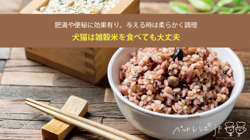犬猫は雑穀米を食べても大丈夫！肥満や便秘に効果有り。与える時は柔らかく調理