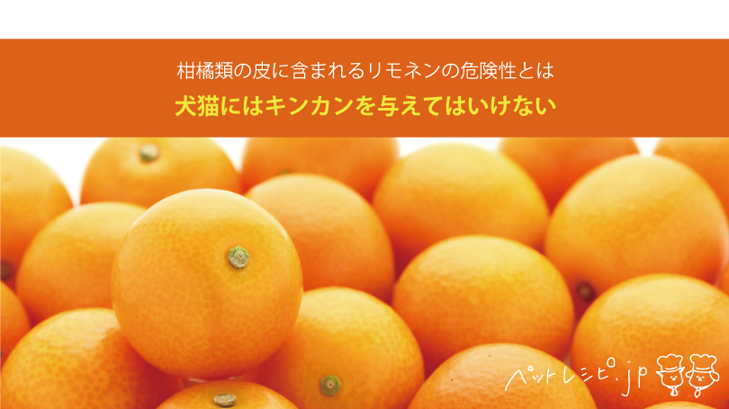 犬猫にはキンカンを与えてはいけない！柑橘類の皮に含まれるリモネンの危険性とは
