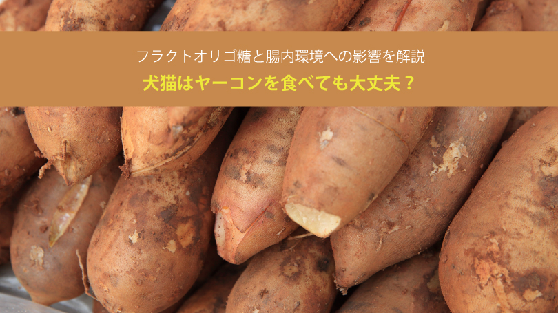 犬猫はヤーコンを食べても大丈夫？フラクトオリゴ糖と腸内環境への影響を解説