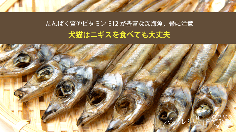 犬猫はニギスを食べても大丈夫！たんぱく質やビタミンB12が豊富な深海魚。骨に注意