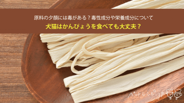 犬猫はかんぴょうを食べても大丈夫？原料の夕顔には毒がある？毒性成分や栄養成分について