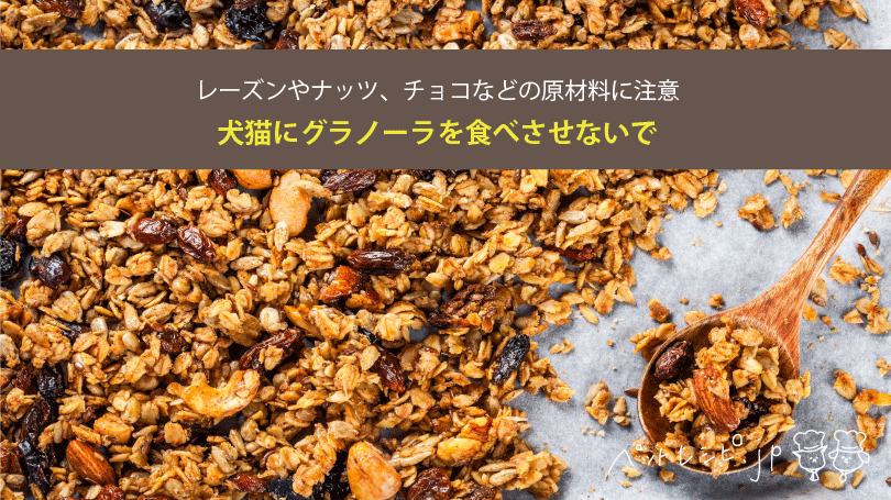 犬猫にグラノーラを食べさせないで！レーズンやナッツ、チョコなどの原材料に注意