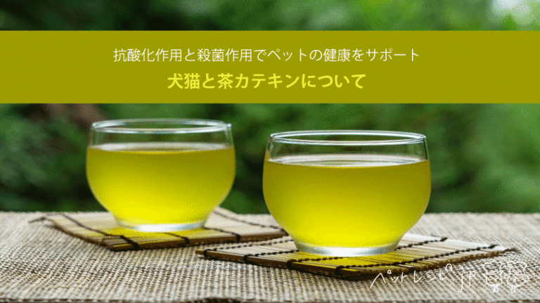 犬猫と茶カテキンについて。抗酸化作用と殺菌作用でペットの健康をサポート